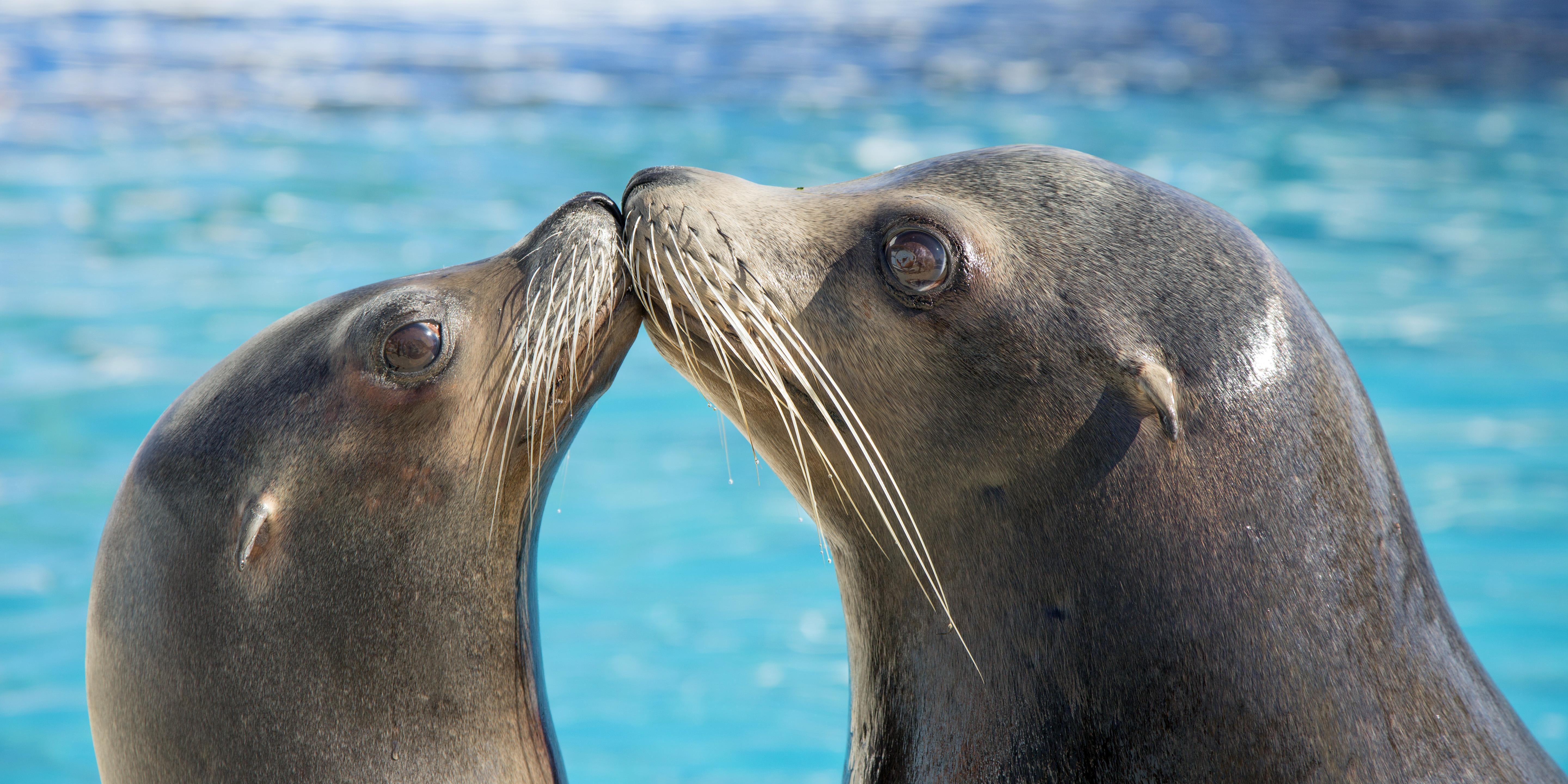 Marineland Resort Antibes Dış mekan fotoğraf