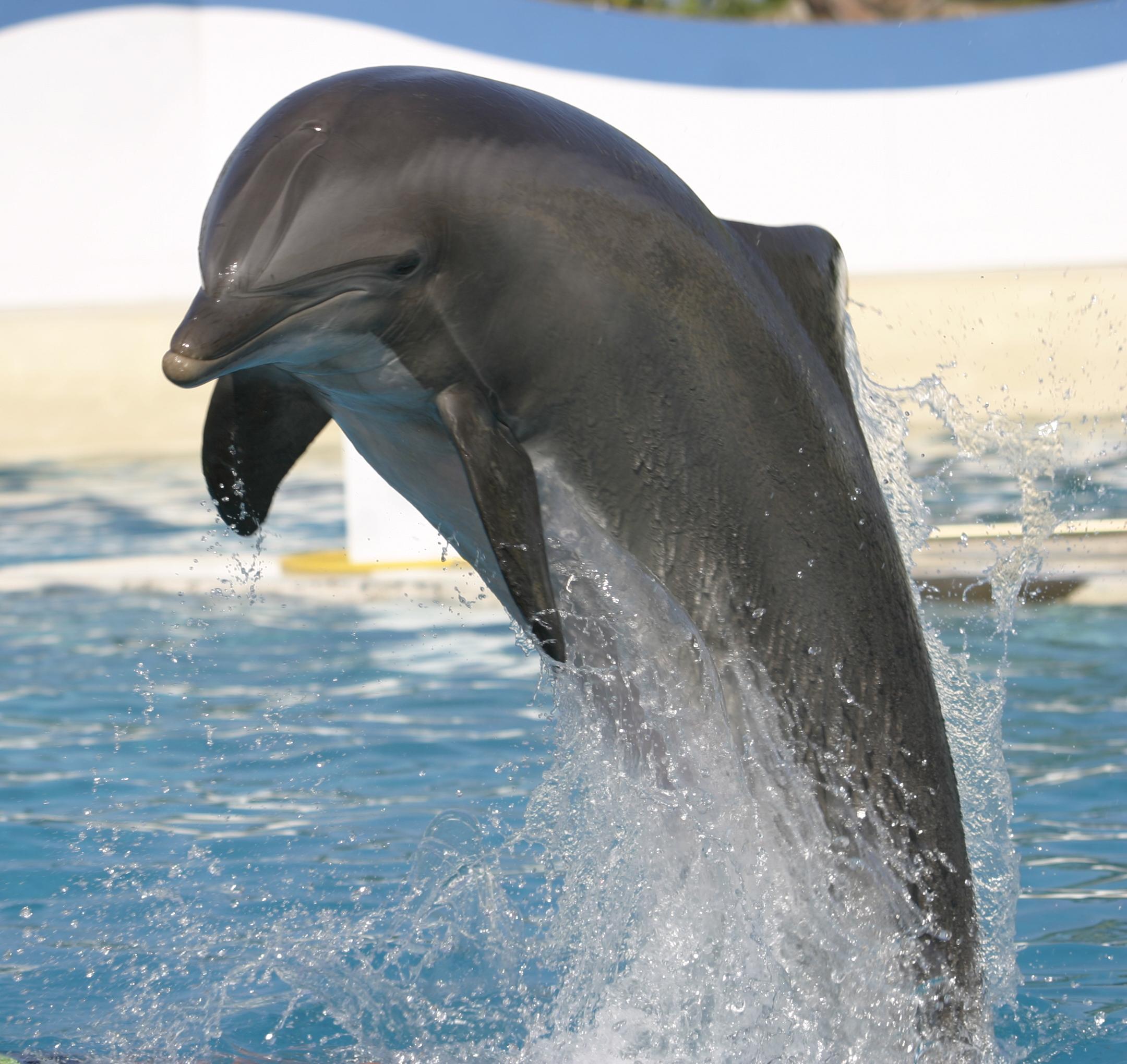 Marineland Resort Antibes Dış mekan fotoğraf